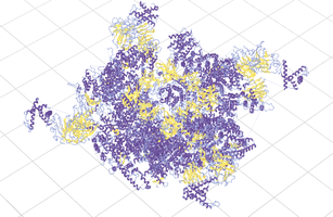 Spatial Protein Explorer thumbnail image